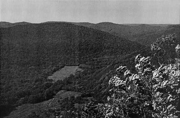 Nature Reserves and National Parks #43