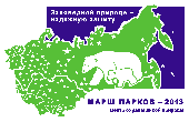 ���� ������ - 2013