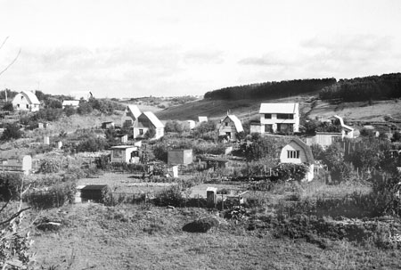 Окрестности п. Искра, на заднем плане – степная балка, где сохранилась реликтовая популяция степной гадюки