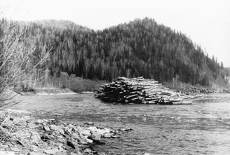 На р. Бие - лес, приготовленный к сплаву молем. 1980 г. Фото автора