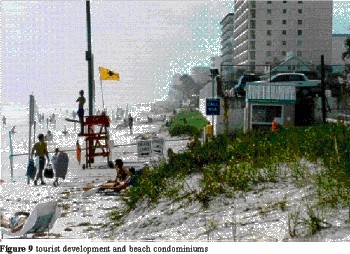 orlando.gif (42404 bytes)