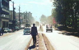 image41.gif (19419 bytes)