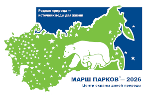 ���� ������ - 2026